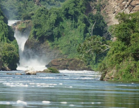 7 Days Murchison Falls, Kibale, and Queen Elizabeth National park Safari