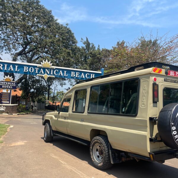 4x4 WD 7 seater Extended Landcruiser