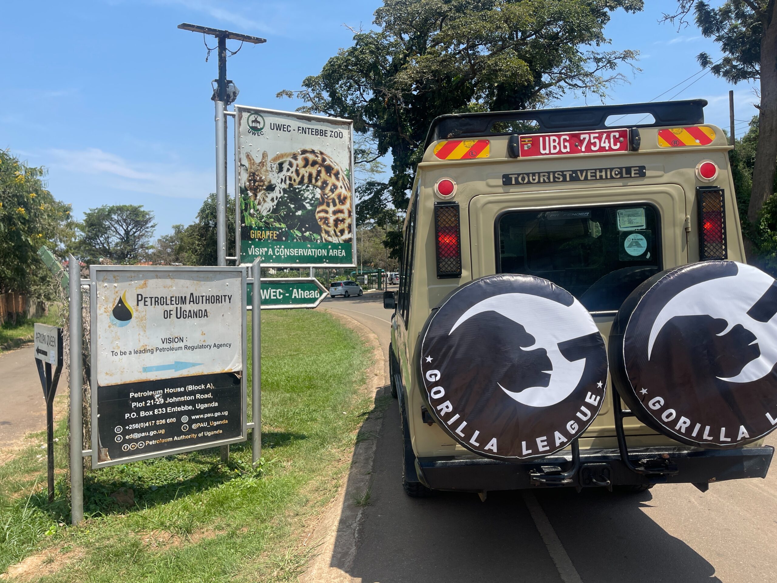 5-Day Uganda Safari: Gorilla Trekking in Bwindi & Wildlife Adventures in Queen Elizabeth National Park