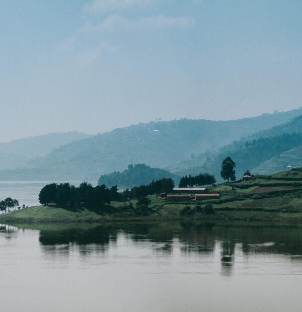 3-Day Uganda Safari Gorilla Tracking & Lake Bunyonyi